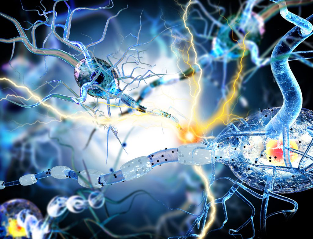 3d illustration of nerve cells, concept for Neurological Diseases, tumors and brain surgery.